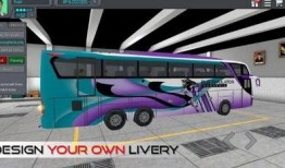 印尼巴士最新爆料飞机场