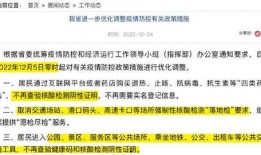 讨债行程爆料视频大全集,视频大全集深度解析